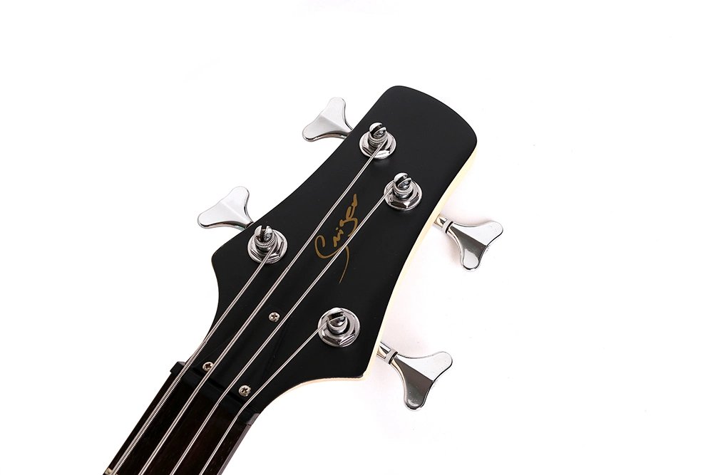 5 Strings Electric Bass Guitar Bass Hot Sales Factory Price
