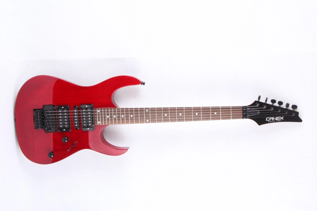 Electric Guitars / Electric Bass Guitars / Guitar (FG-405)