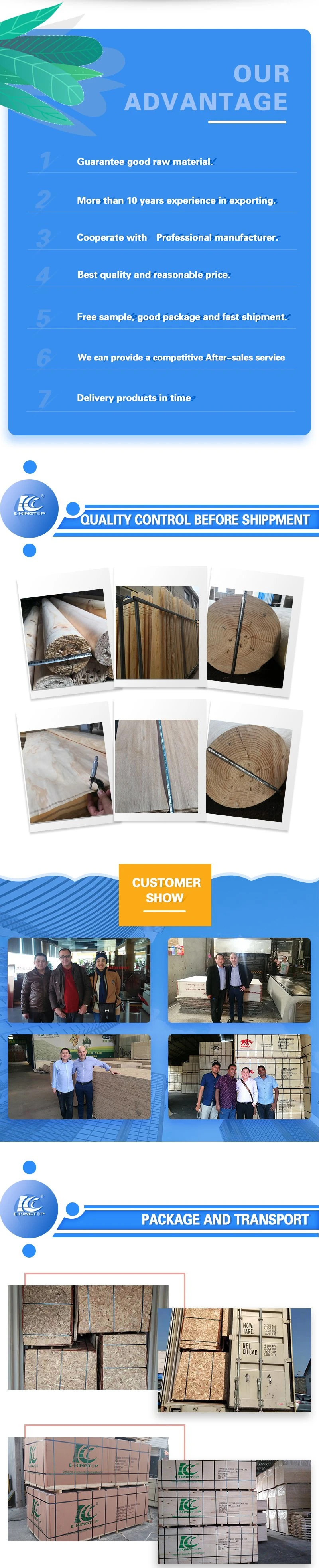 Hot Selling Birch Wood Veneer Birch Core for Plywood