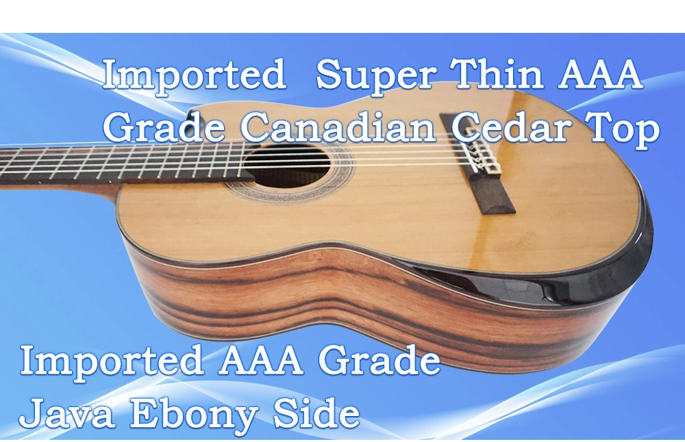 High Grade Cutway Classical Guitar From Aiersi Factory