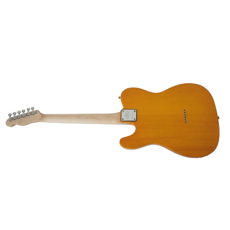 Aiersi Guitar Factory Wholesale Tl Electric Guitar with Figured Maple Top