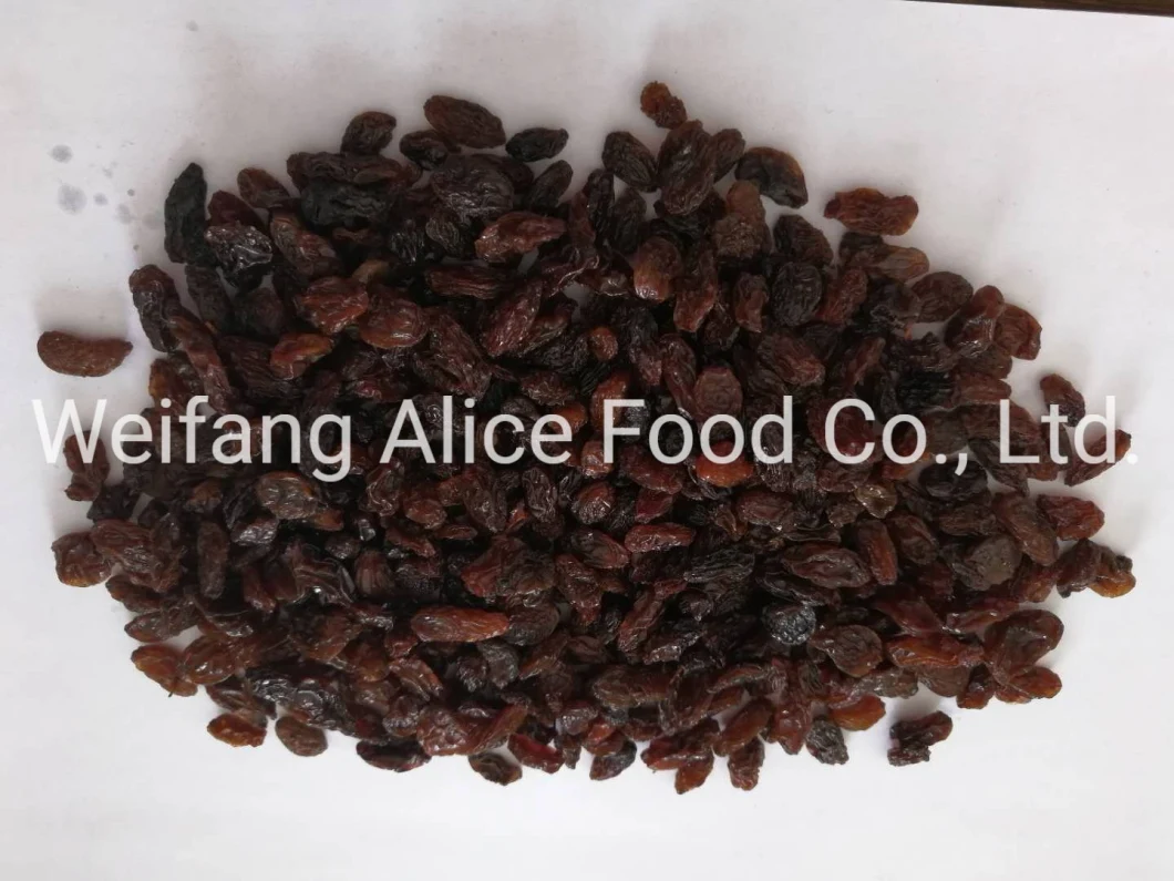 China Cheap Price Black Raisins Xinjiang Turpan Cheap Price Raisins
