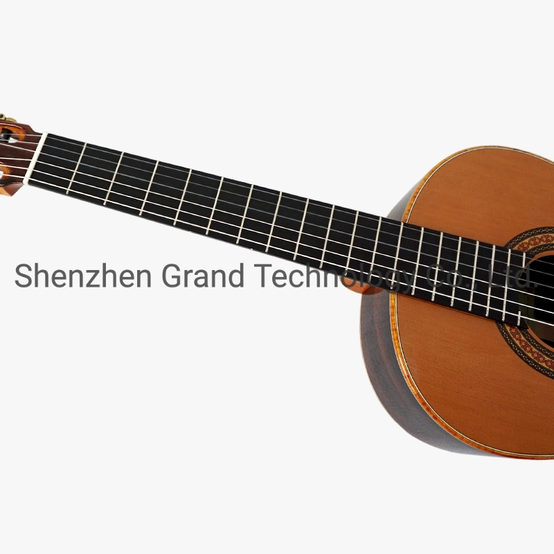 Custom Yulong Guo a-Echoes Brand Nomex Double Top Aaaa All Solid Classical Guitar