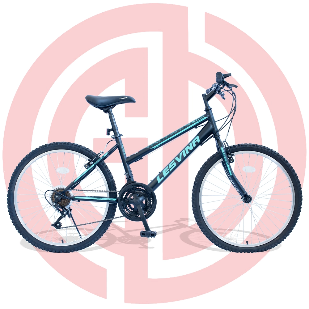 26 Inches 21 Speed High Carbon Steel Mountain Bicycle Mountain Bike in Outdoors MTB