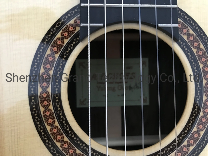 Custom Yulong Guo a-Echoes Brand Nomex Double Top Aaaa All Solid Classical Guitar