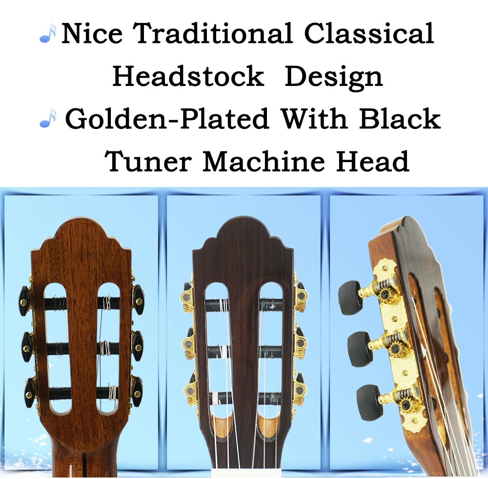 High Grade Cutway Classical Guitar From Aiersi Factory