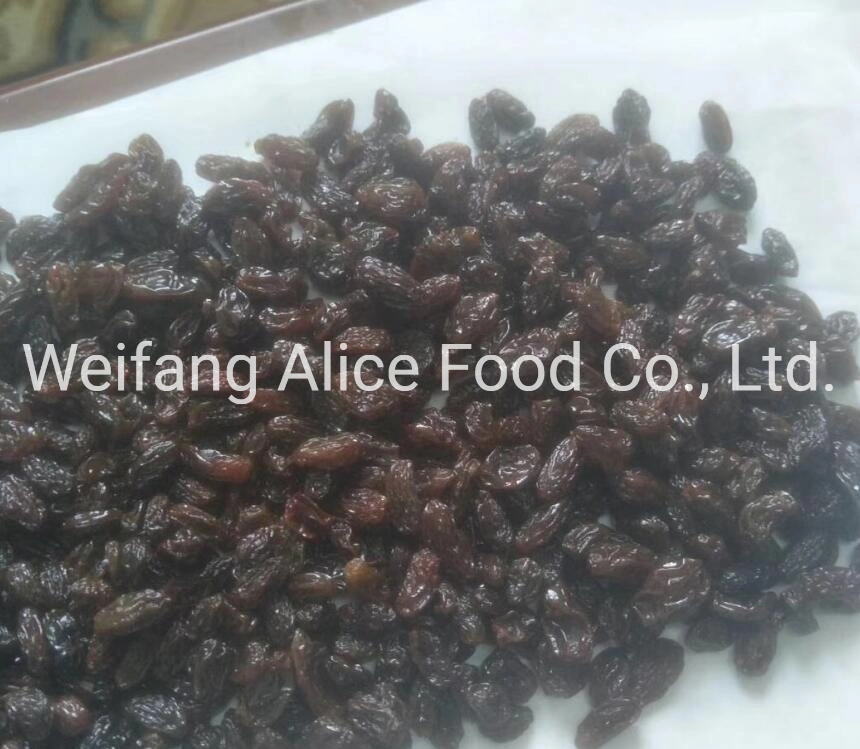 China Cheap Price Black Raisins Xinjiang Turpan Cheap Price Raisins