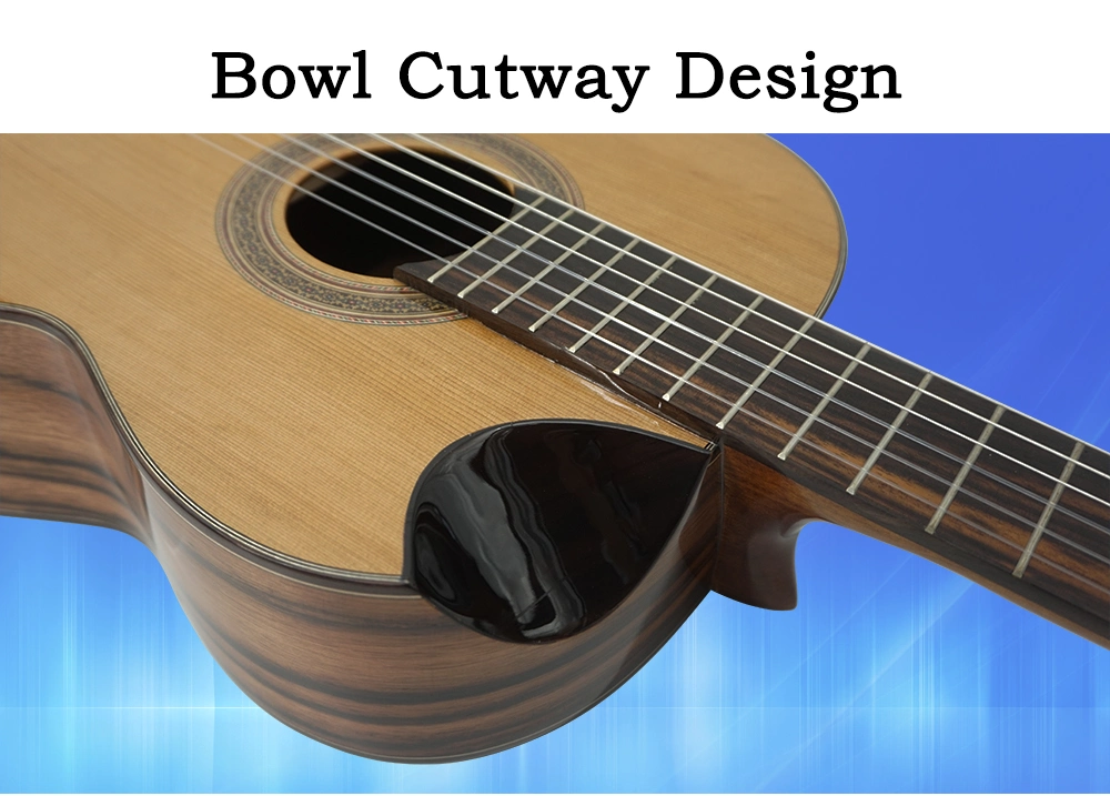 High Grade Cutway Classical Guitar From Aiersi Factory