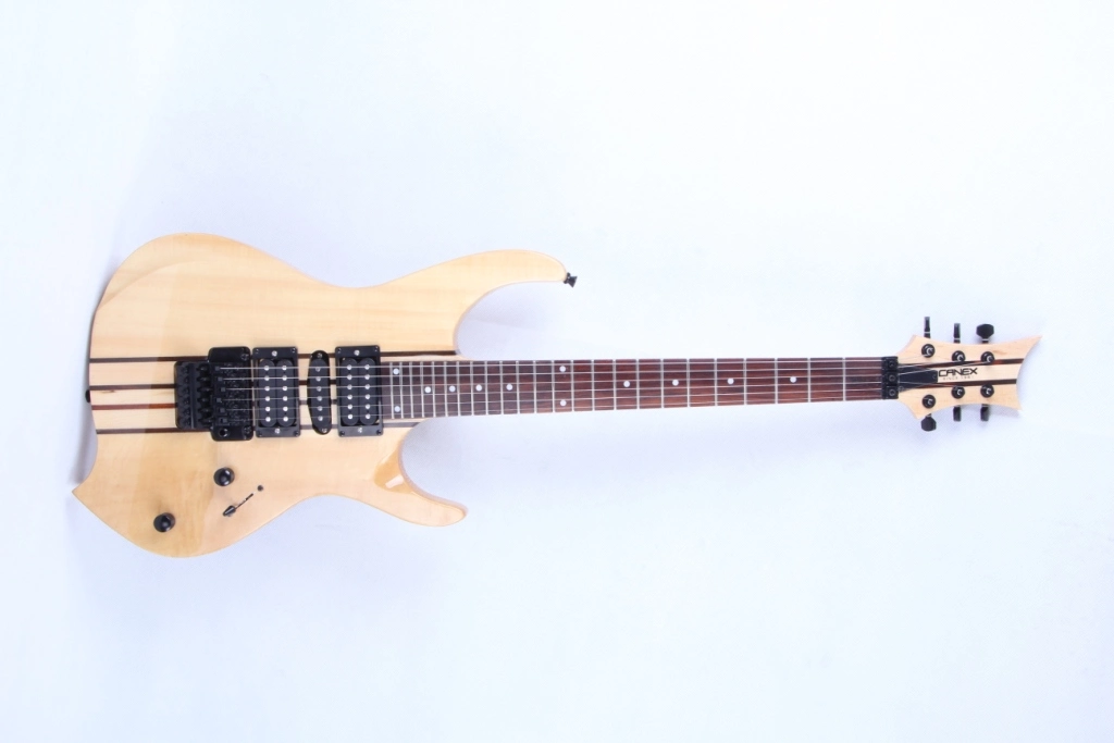 Electric Guitars / Electric Bass Guitars / Guitar (FG-425TH)