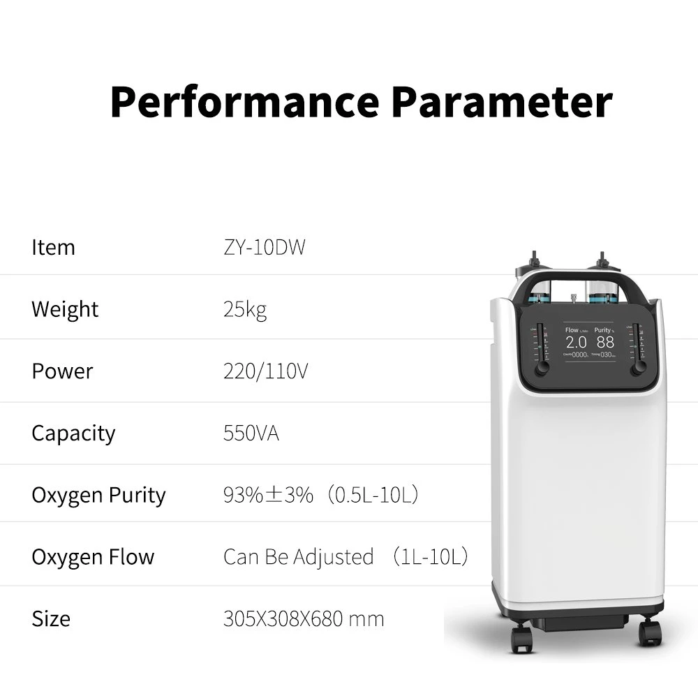 10L Portable Household Oxygen Concentrator 220V 110V 50Hz 60Hz