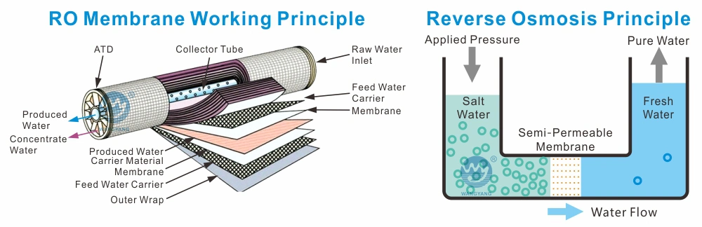 1000L/H Industry Reverse Osmosis for Hotel Drinking Water Purification with Manual Sand Carbon Softener