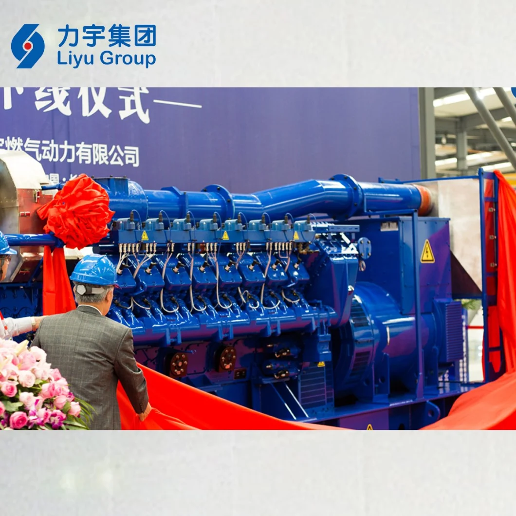 Liyu Distributed Power Plants 1500kw LV High Cconomic Efficiency High Concentration Methane Gas Energy Generating Set