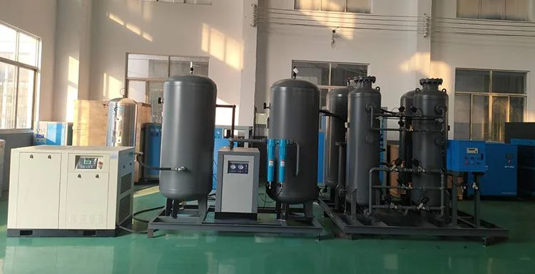 Portable High Purity Psa O2 Oxygen Generator Plant Price for Industry