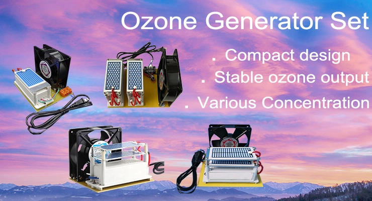 Hot Sale Cheap 10g Ceramic Ozone Generator Set for Air Purification
