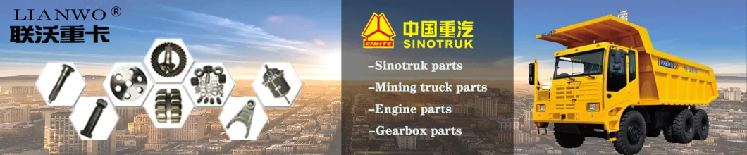 Sinotruk HOWO A7 Foton Tractor Spare Parts Oil-Gas Separator Vg1557010015b