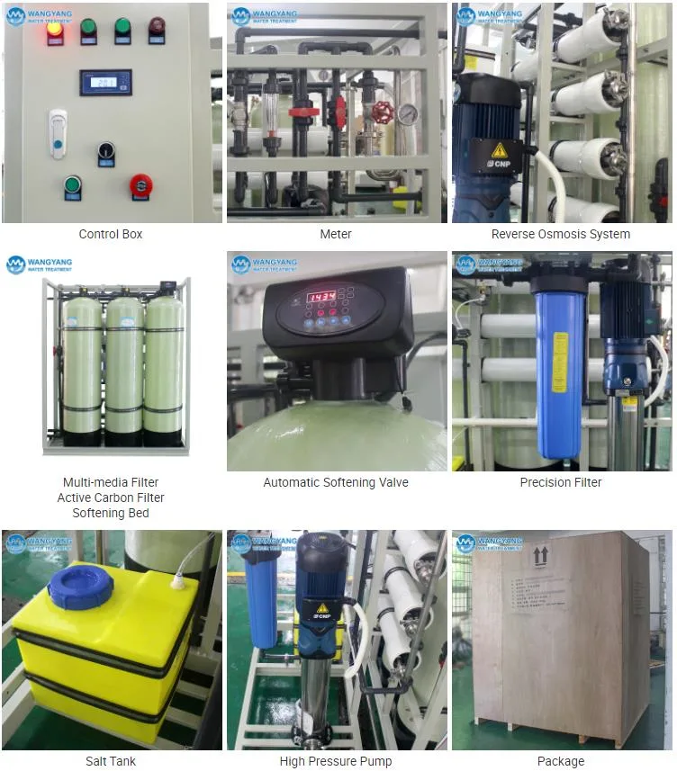 1000L/H Industry Reverse Osmosis for Hotel Drinking Water Purification with Manual Sand Carbon Softener