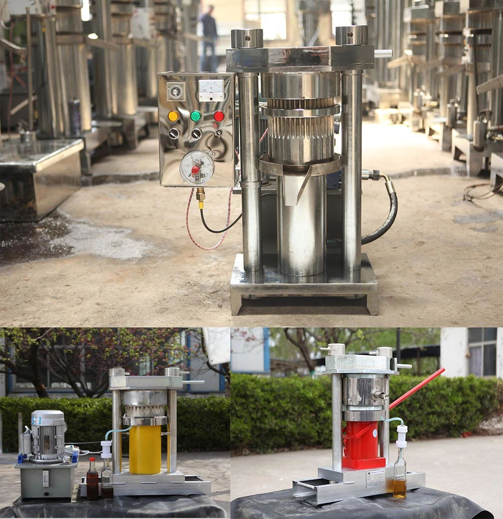 High Efficiency Oil Cold Press Machine Automatic Hydraulic Sesame Oil Making Machine
