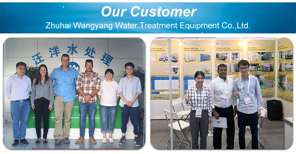 1000L/H Industry Reverse Osmosis for Hotel Drinking Water Purification with Manual Sand Carbon Softener