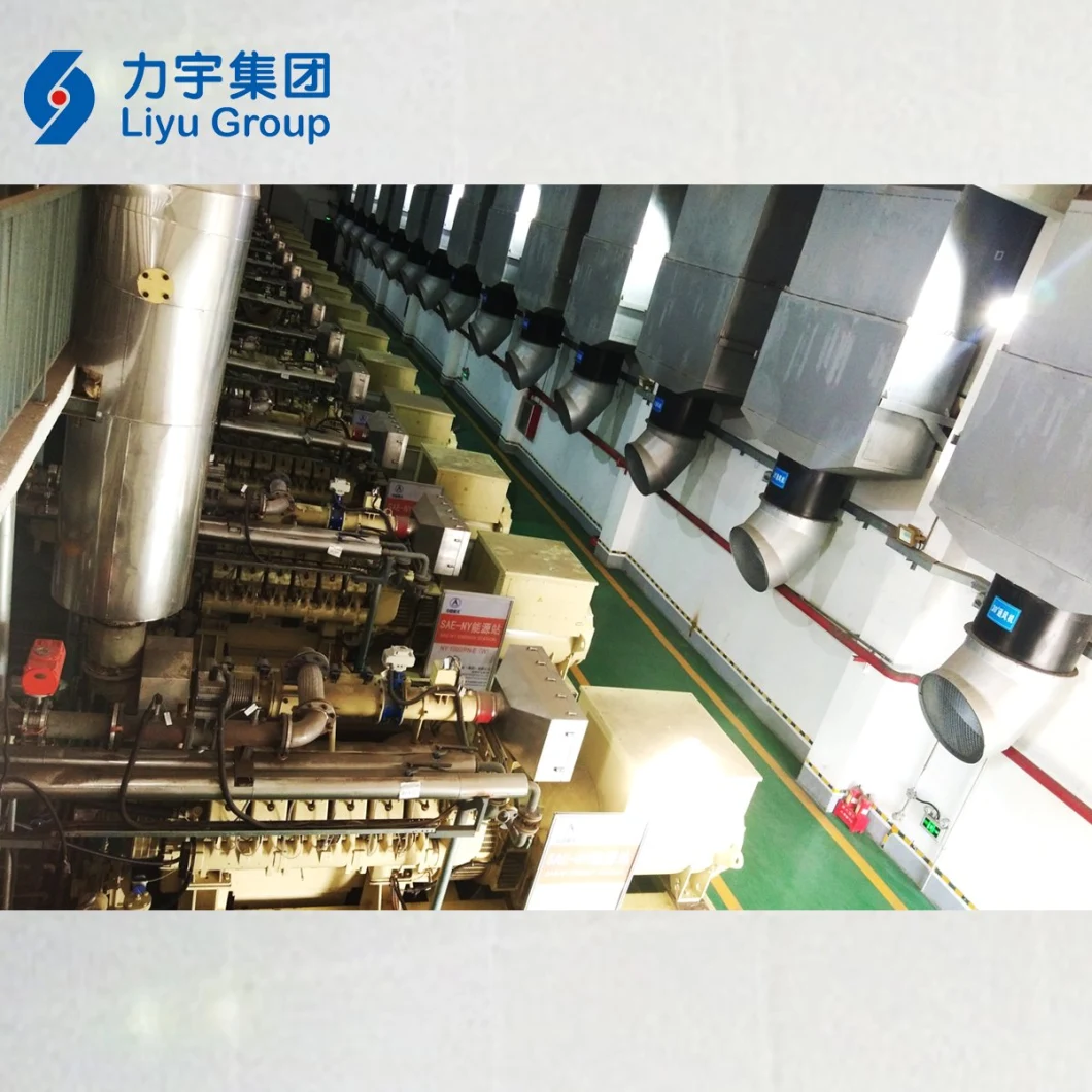 Liyu Distributed Power Plants 1500kw LV High Cconomic Efficiency High Concentration Methane Gas Energy Generating Set