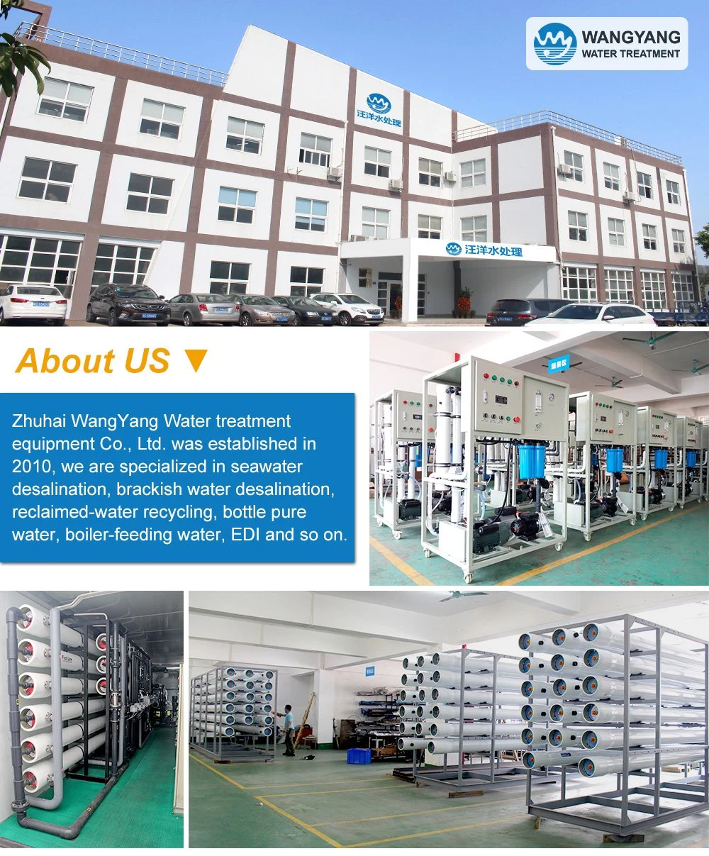 1000L/H Industry Reverse Osmosis for Hotel Drinking Water Purification with Manual Sand Carbon Softener