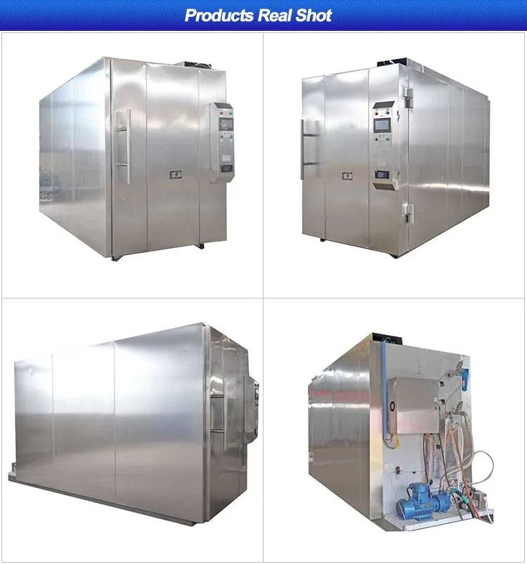 Ethylene Oxide Sterilizer for Mask Sterilize, Eto Sterilization Machine Price, Ethylene Oxide Sterilization