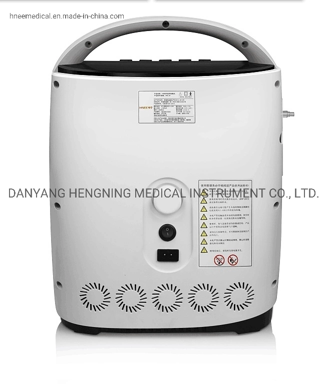 Home Oxygen Generator 93% 3L Large Flow Oxygen Generator with Nebulizer for Sale