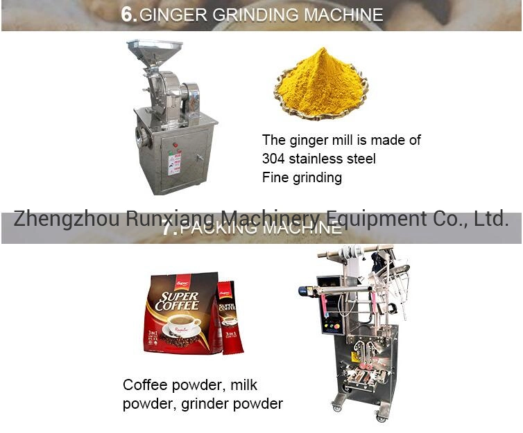 Automatic Garlic Separating Machine/Garlic Peeling Machine/Garlic Processing Production Line