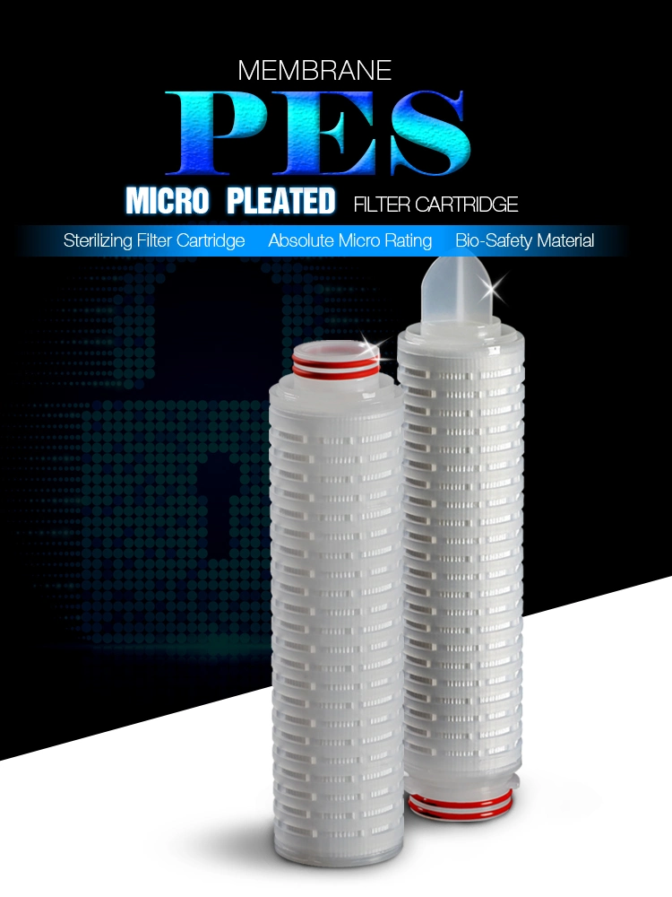 Darlly Pes Pleated Filter Cartridge Used for Bacteria Removalfiltration in Pharmaceutical Industry