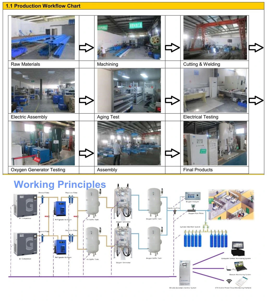 Zeolite Molecular Sieve Psa O2 Gas Generator