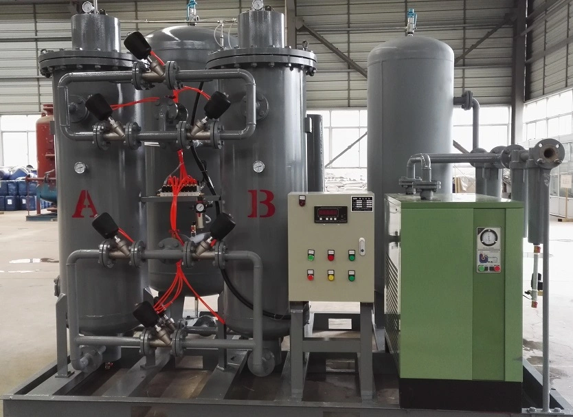 High Purity Gas Air Separation Plant Psa O2 Oxygen Plant Manufacturer