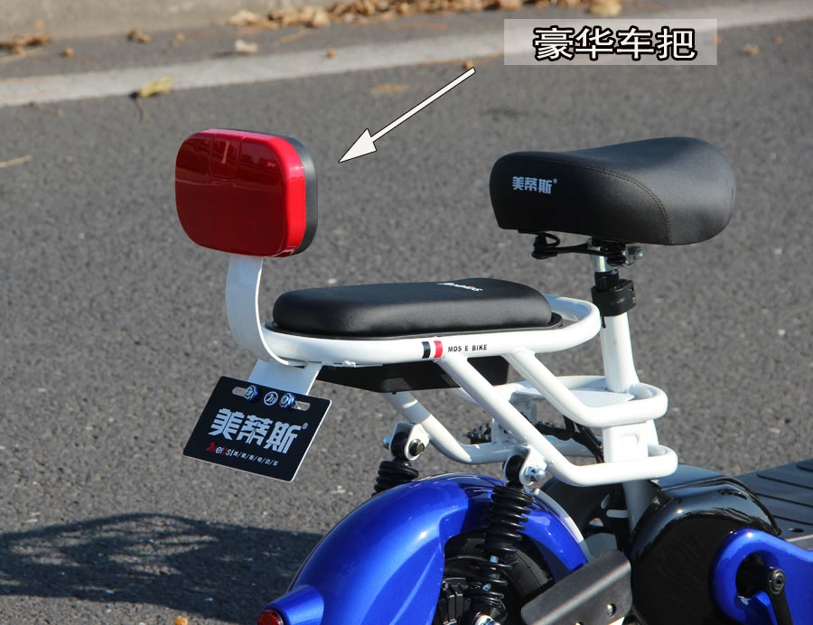 Adult Pedal Assistant Electric Scooter Supplier