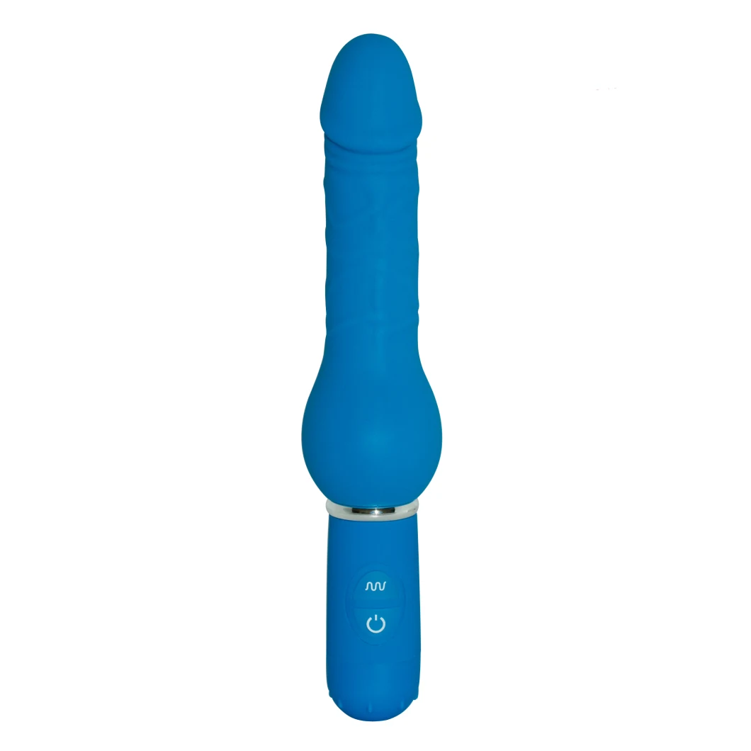 10 Function Curvy Dong Vibrator, Porn Dildo Sex Toys, Hard Penis `