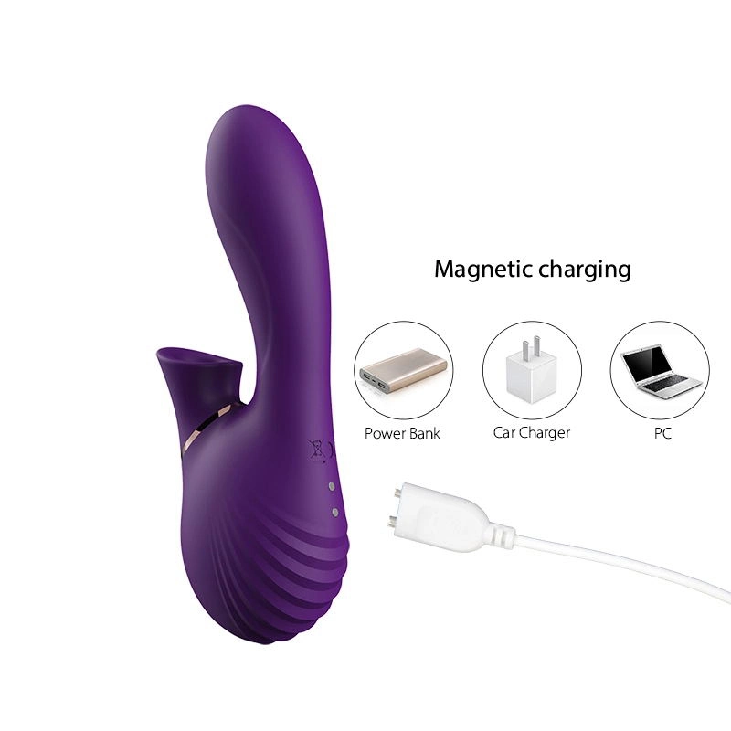 Vagina Pussy Vibrator Clitoris Women Adult Sex Sexual Toys
