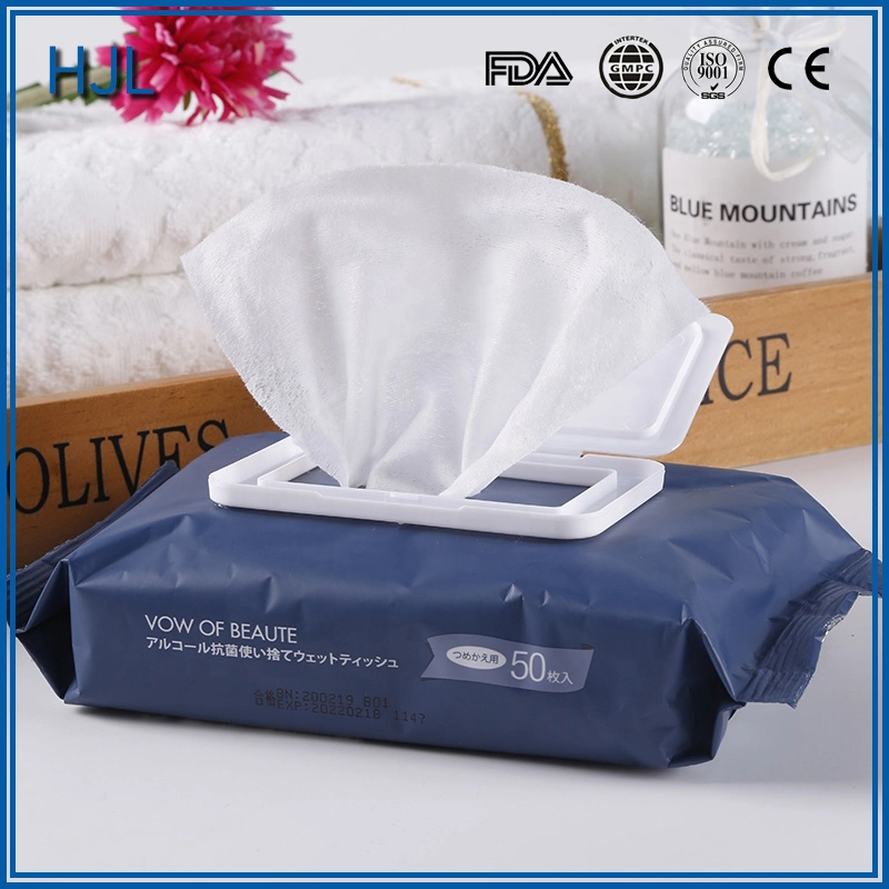 OEM Skin Care Products Adult Wet Wipes for Body Cleaning