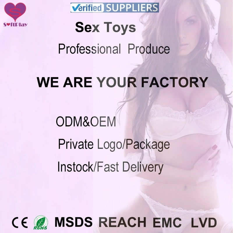 Factory Price USB Rechargeable Clitoris Vibrating Penis Realistic Rabbit Vibrator Dildo Sex Toy for Women