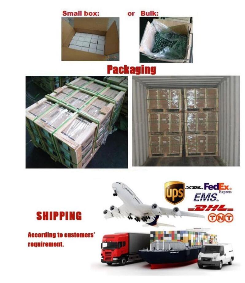 Hardware St4.2 -6.3 Pan Head PT Thread Self Tapping Screw Cross Cutting Screw Machine Screw
