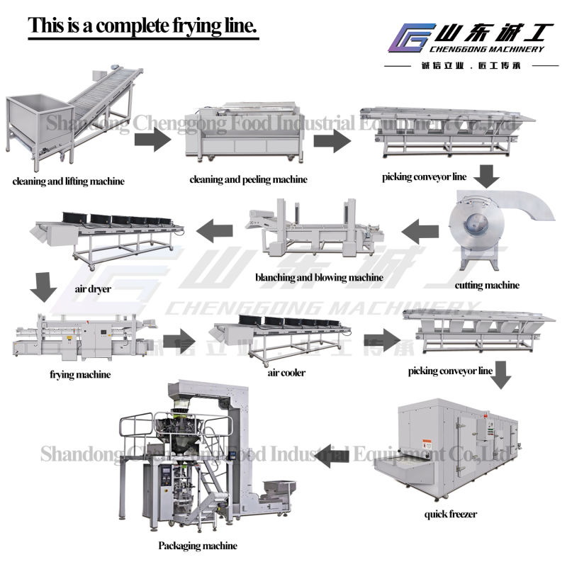 Cleaning Machine of Vegetable and Cleaning Machine of Fish