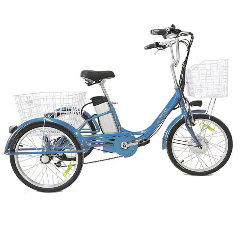 Electric Motor Rear Axle and Passenger Tandem Electric Bicycle