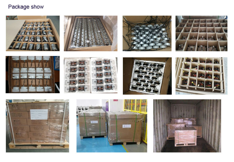 Good Quality Electrical/Electric 5W AC Shaded Pole Micro Fan Motor Nebulizer/Ice Cream Machine
