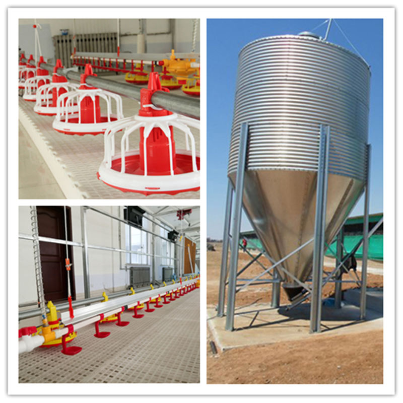 Poultry Shed Equipment in Chicken with Broiler Equipment