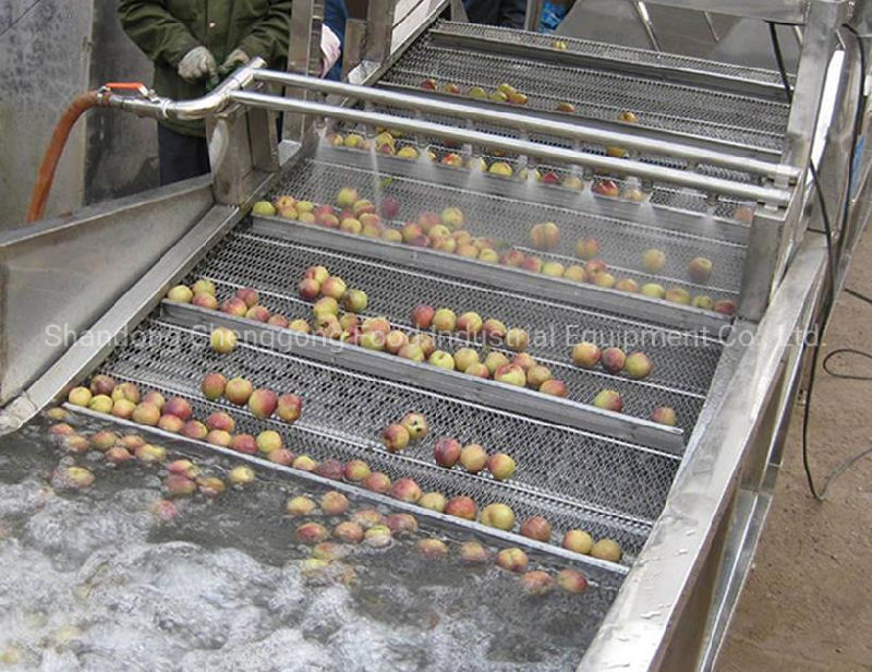 Cleaning Machine of Vegetable and Cleaning Machine of Fish