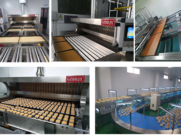 Bd Automatic Cake/Cookie/Biscuit Production Line/Tunnel Oven Production Line