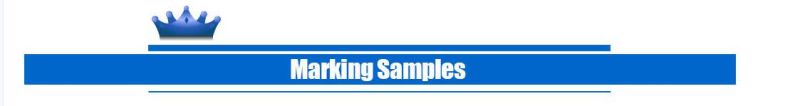 30W Fiber Laser Marking/Cutter/Engraving Machine for Knife
