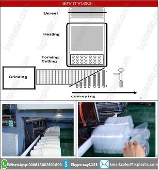 Thermoforming Production Lines with Cup Auto Stacker
