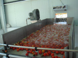 Automatic Orange Juice Production Line