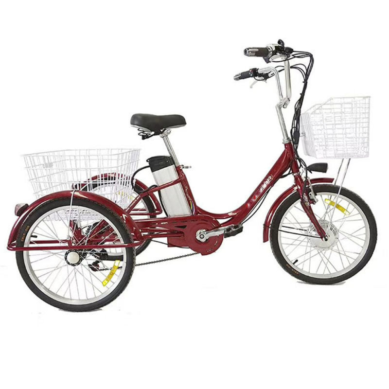 Electric Motor Rear Axle and Passenger Tandem Electric Bicycle