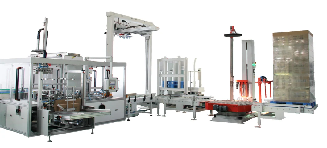 High Speed Robotic Top Load Carton Box Case Packer Equipment and Palletizer Manufacturers