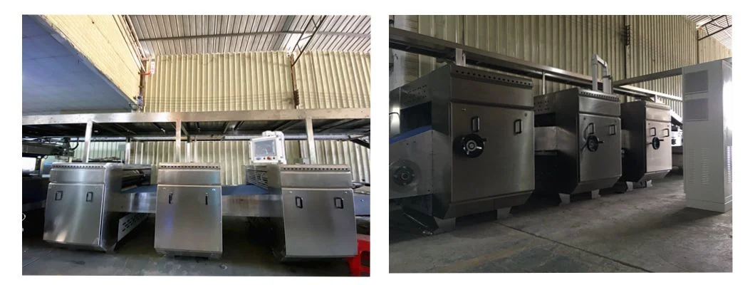 Skywin Hard Biscuit Production Line/Biscuits Machine Making Line Production Automatic