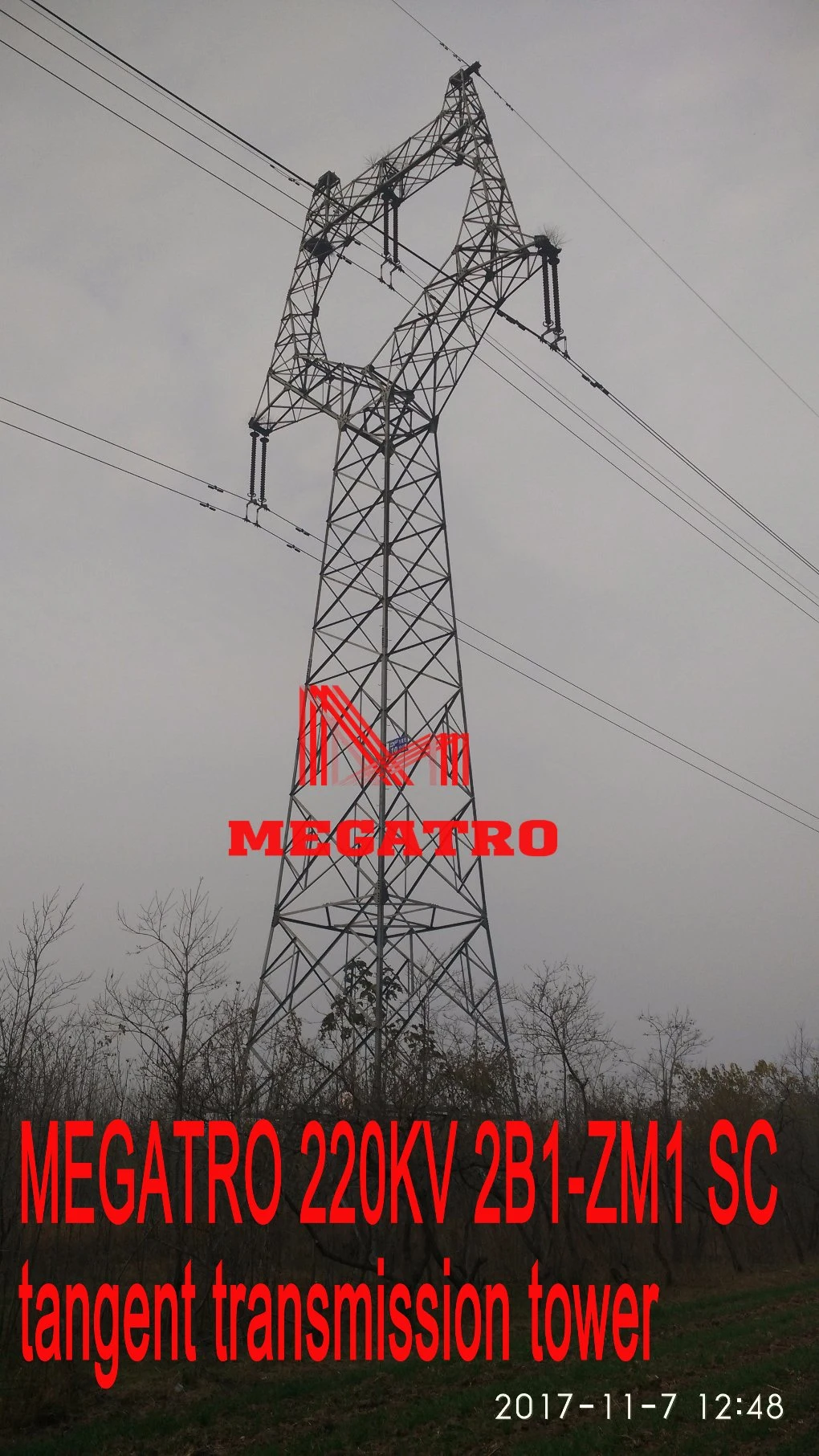 Megatro Polwer Line 220kv 2b1-Zm2 Self-Support Electric Pylon Steel Tower