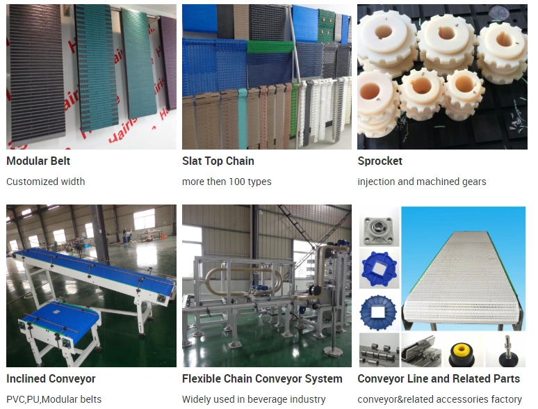 Hairise Qnb Belt Conveyor Used in Corrugated Equipment and Systems in Paper Industry